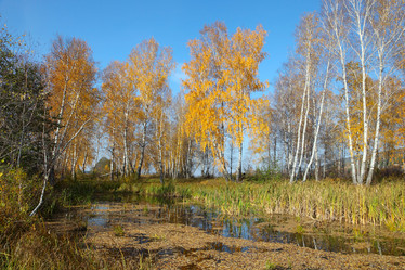 Similar image 909223