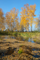 Similar image 909226