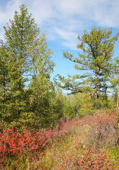 Similar image 909324