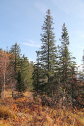 Similar image 909329