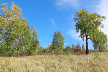 Similar image 909338