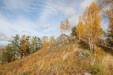 Similar image 909339