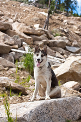 Similar image 909396