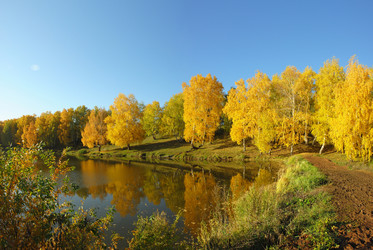 Similar image 909424