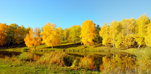 Similar image 909426