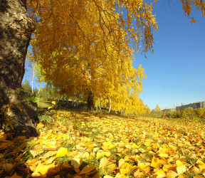 Similar image 909446