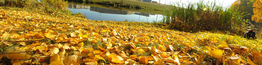 Similar image 909450