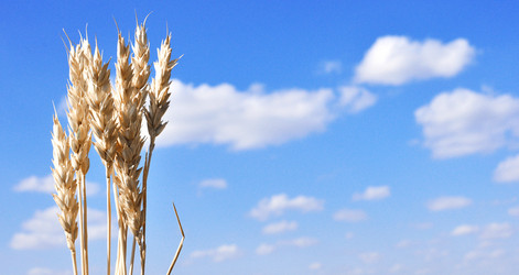 Similar image 909461