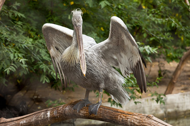 Similar image 909480