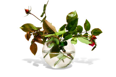 Similar image 909545