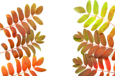 Similar image 909581