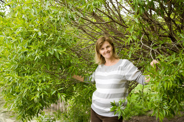 Similar image 909584