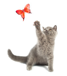 Similar image 909590