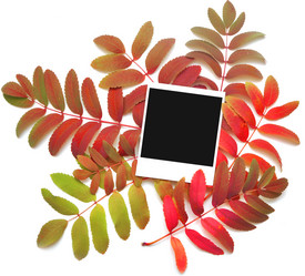 Similar image 909595