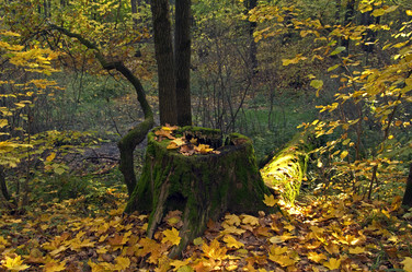 Similar image 909627