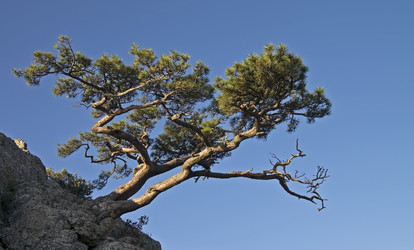 Similar image 909637