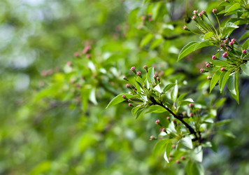 Similar image 909641