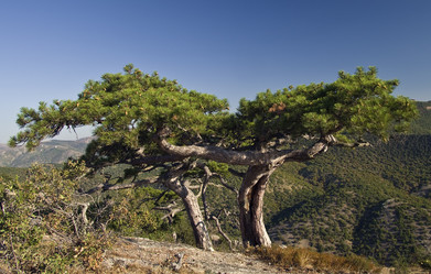 Similar image 909646