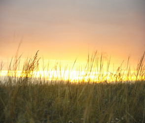 Similar image 909693