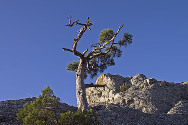 Similar image 909703