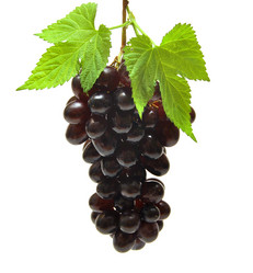 Similar image 909709