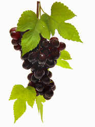 Similar image 909710