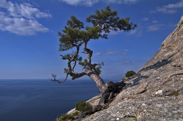 Similar image 909717