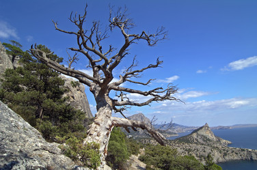 Similar image 909723