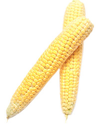 Similar image 909731