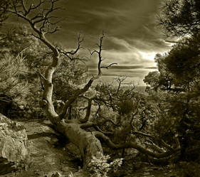 Similar image 909733