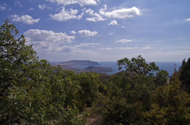 Similar image 909742