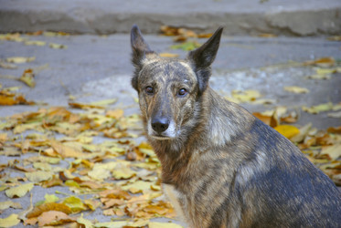 Similar image 909771