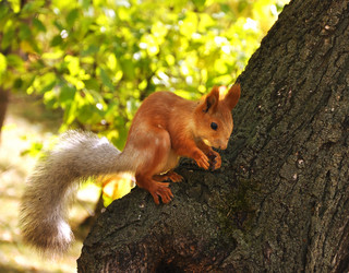 Similar image 909802