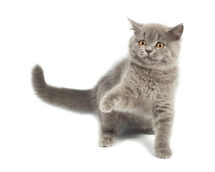 Similar image 909863