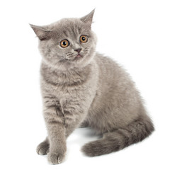 Similar image 909868