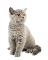 Similar image 909870