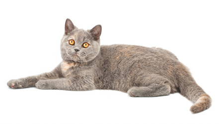 Similar image 909874