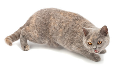 Similar image 909877