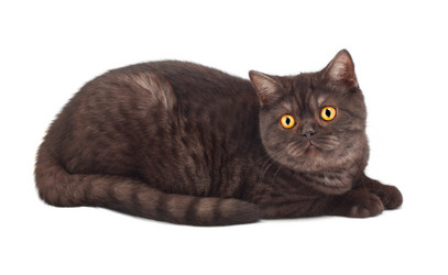 Similar image 909894