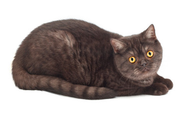 Similar image 909895