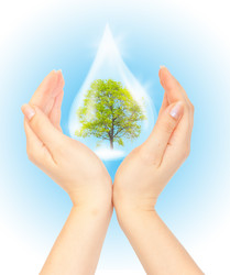 Similar image 909994