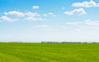 Similar image 909996