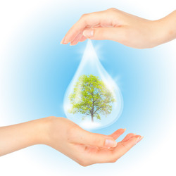 Similar image 909997