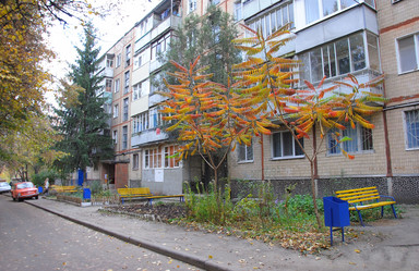 Similar image 910089