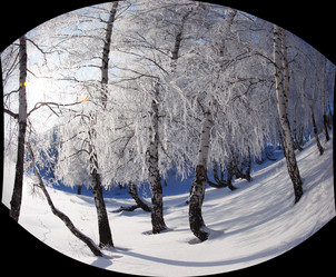 Similar image 910096