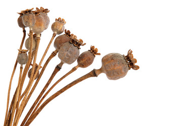 Similar image 910184