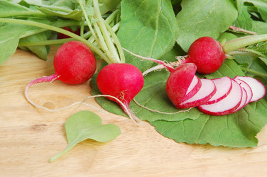 Similar image 910359