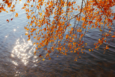 Similar image 910413