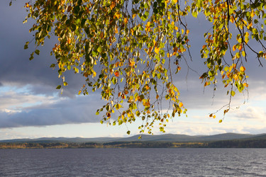 Similar image 910419