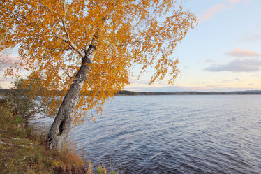 Similar image 910425